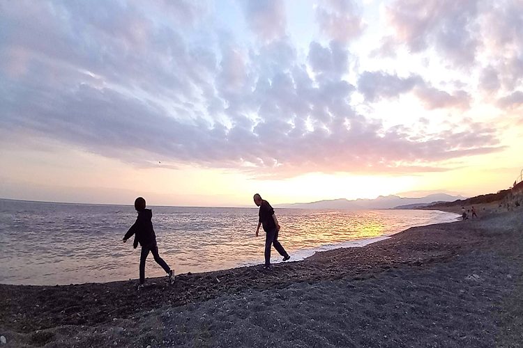 砂浜