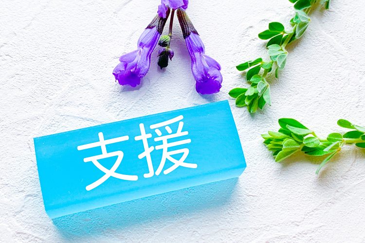 支援制度