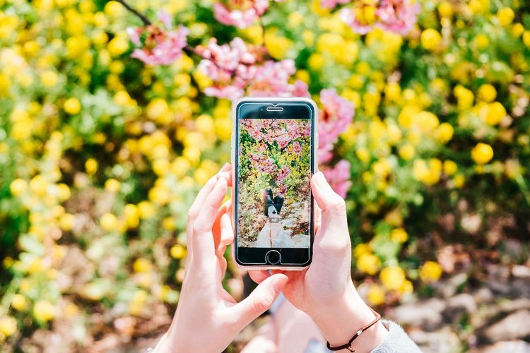 スマホで花の写真を撮影