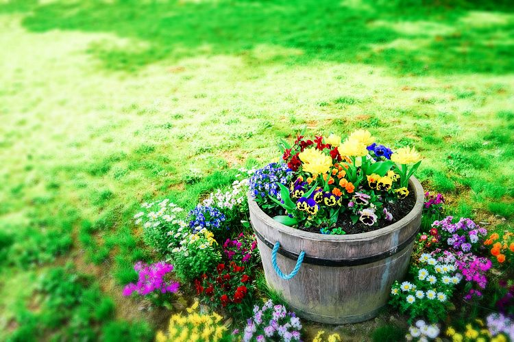 陽だまりの芝生とナチュラルな鉢植えの背景